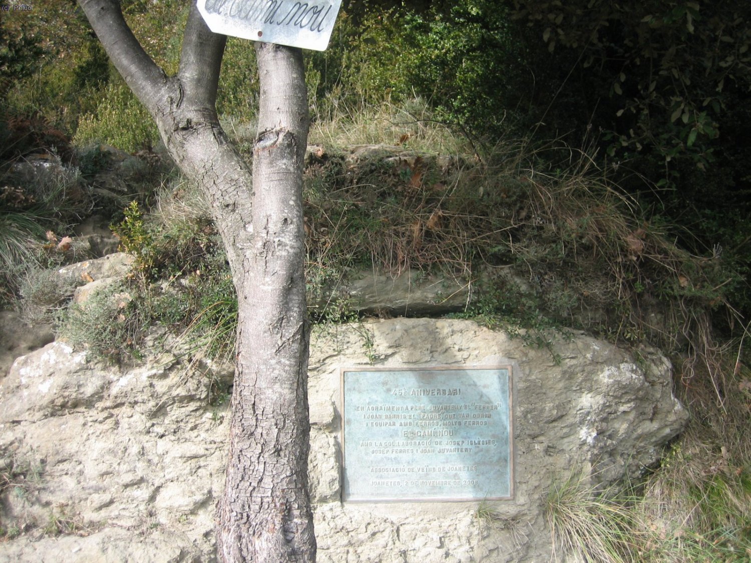 Inici del cam&iacute; nou (Ganxos nous).