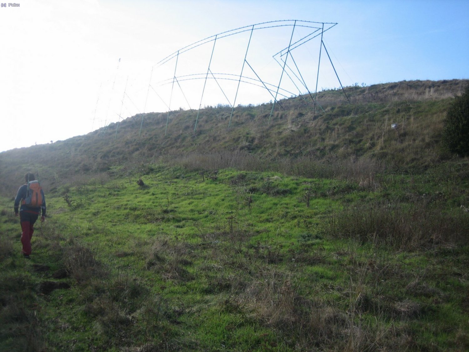 Curios vertex nadalenc, que voregem per l