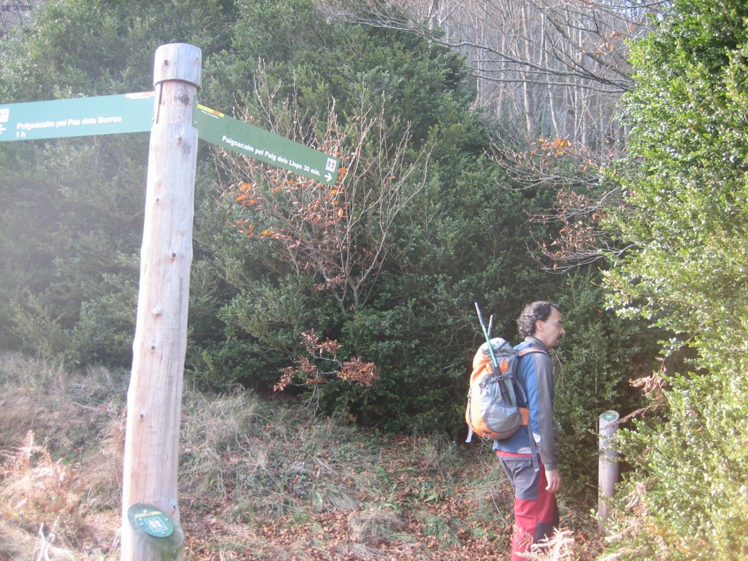 Enfilem el cam&iacute; per la part obaga del Puig dels Llops. Trobem punts vermells que ens indiquen.