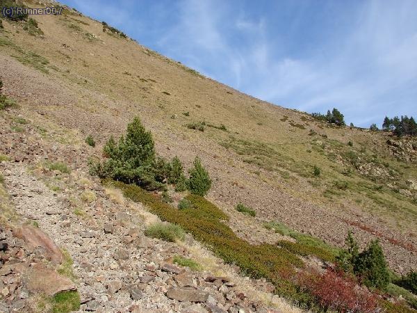 Flanqueig per el vessant dret del Durant  a la Pleta d&acute;Engorgs