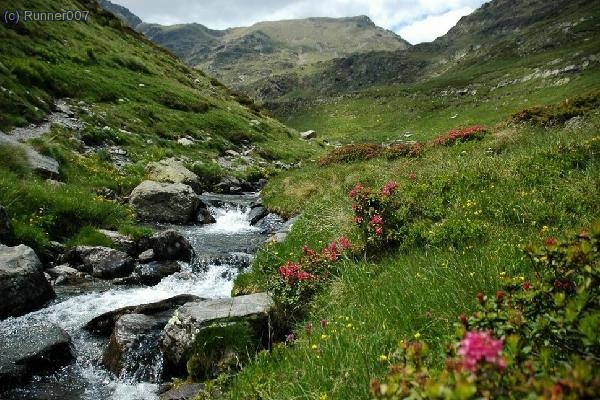 Pujant per la Coma , direcció al port del Siguer