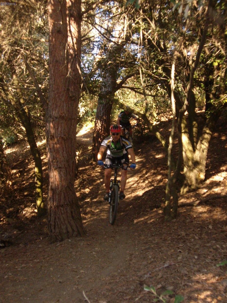 Vile en uno de los senderos boscosos. Detr&aacute;s klk