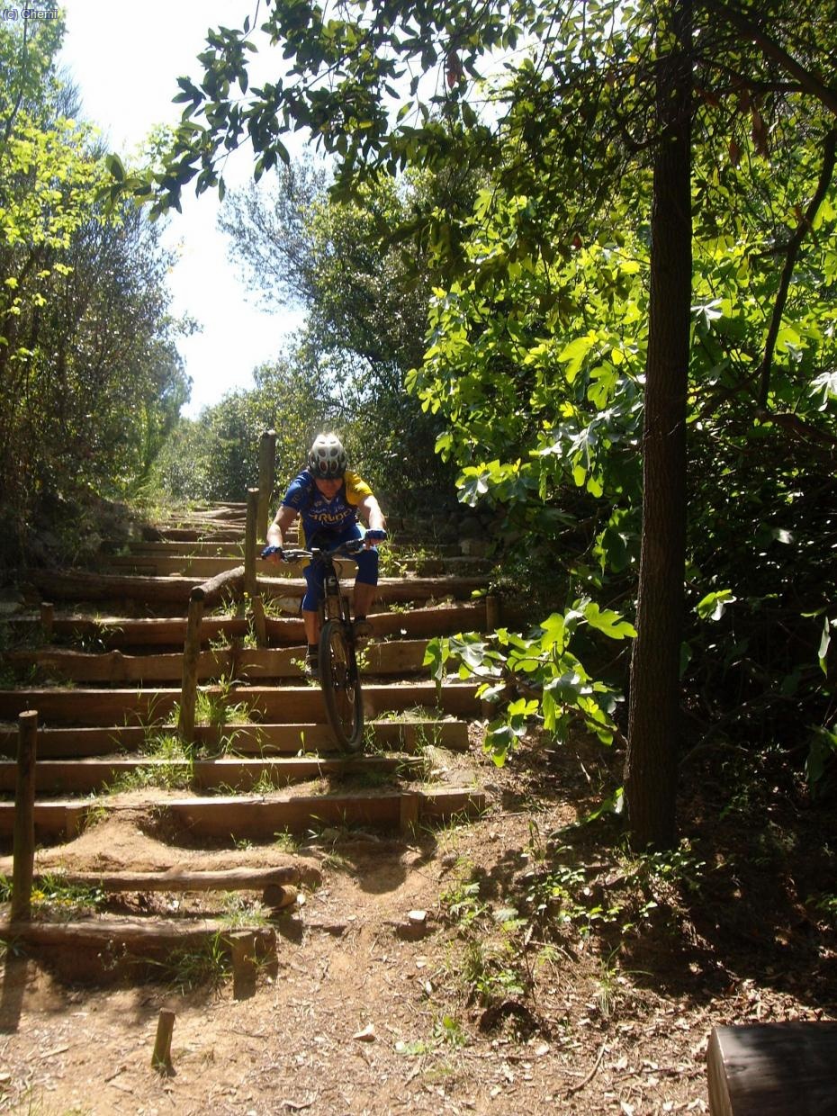 A Juanillo le fue de pelos comerse el tronco del final.