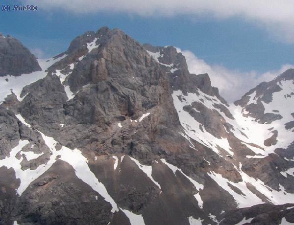 Torre de Coello