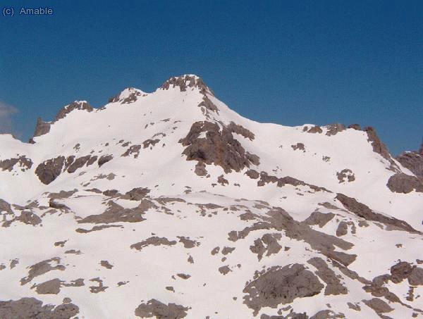 Pico Tesorero