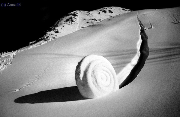 Cargol
Pica D´Estats