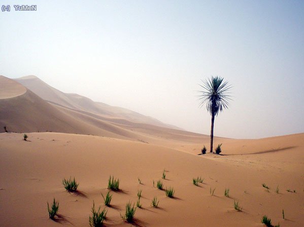 No hay palabras para describir el desierto