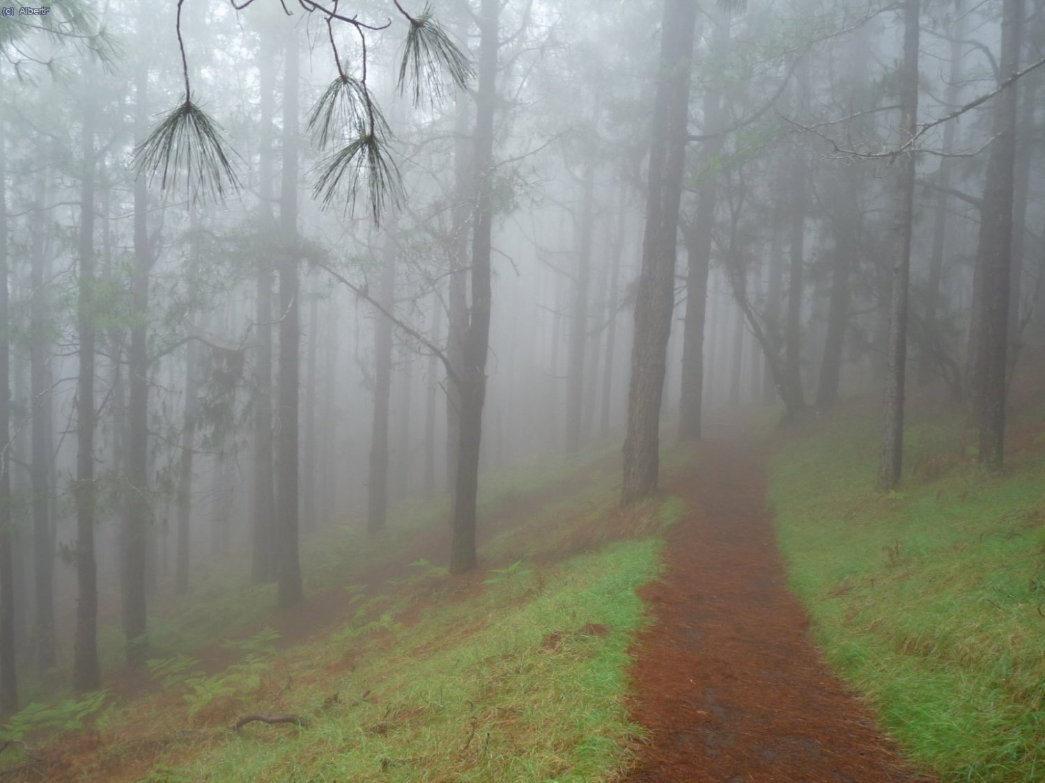 zona de n&uacute;vols quasi perpetus, prop de la zona d&acute;acampada de El Pilar