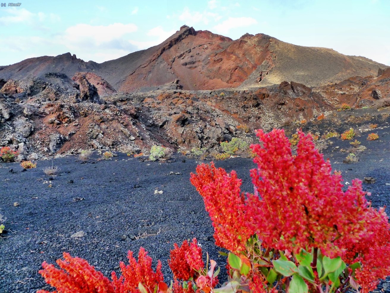 Volc&agrave; Teneguia