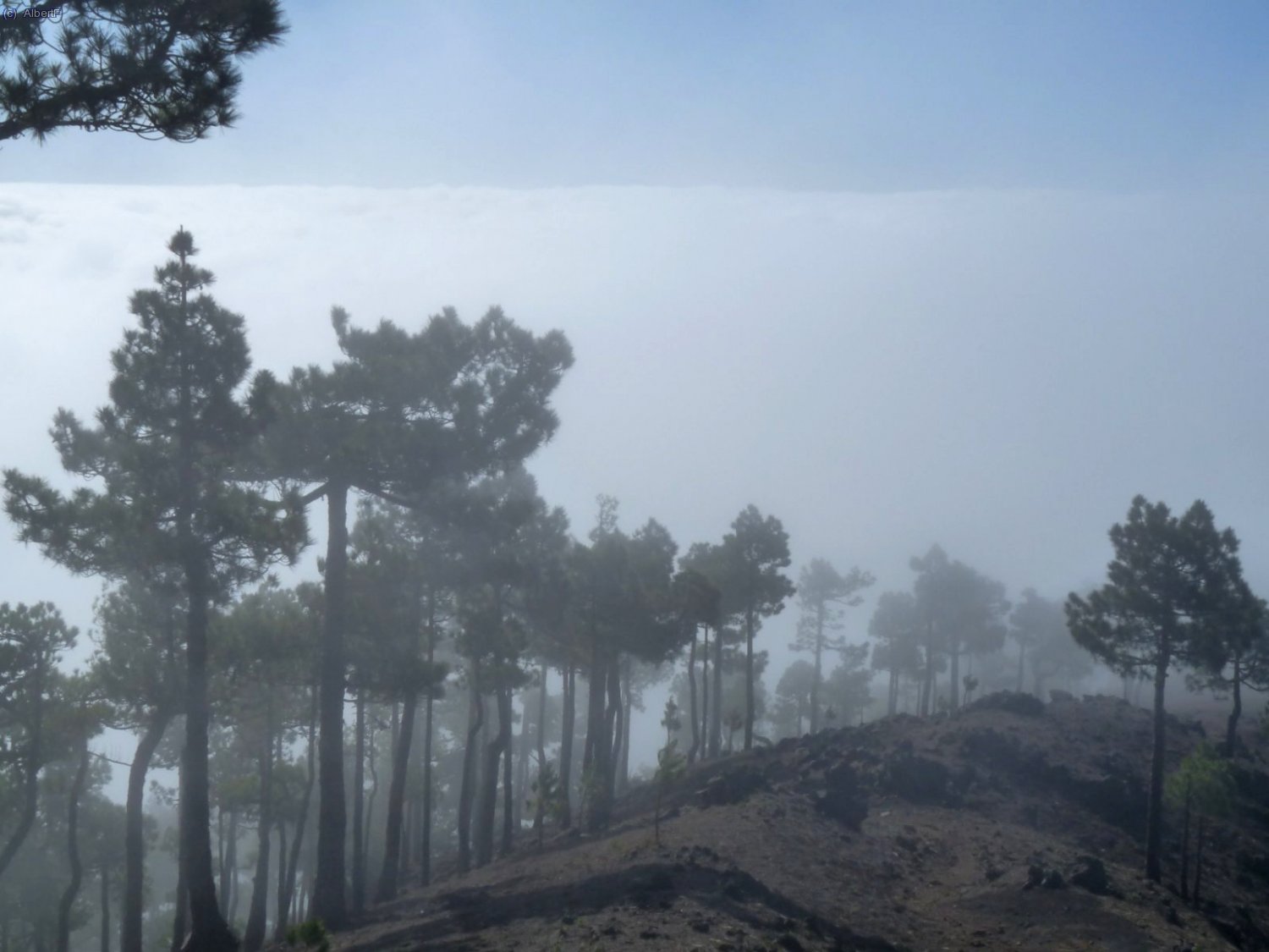 Deixant afortunadament els n&uacute;vols a vall, el segon dia, de cam&iacute; al refugi de Punta de los Roques