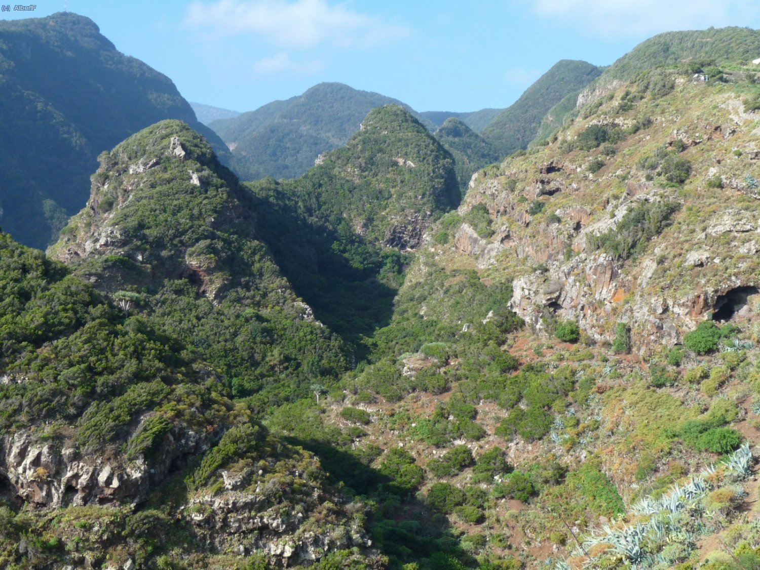 Barrancs per la zona de El Tablado