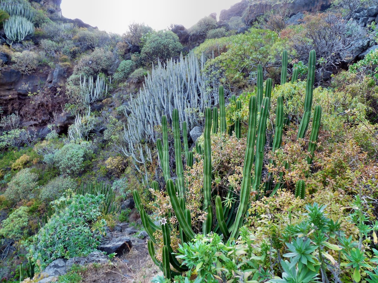 Sortint del barranc de Gallegos