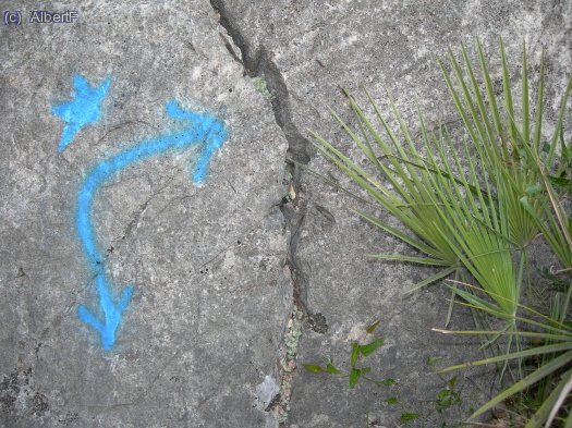 El senyal dels Estels del Sud