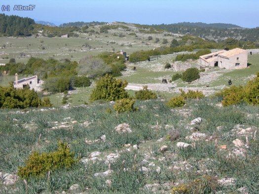 Les Foies, poc despr&eacute;s del Ref. de Caro