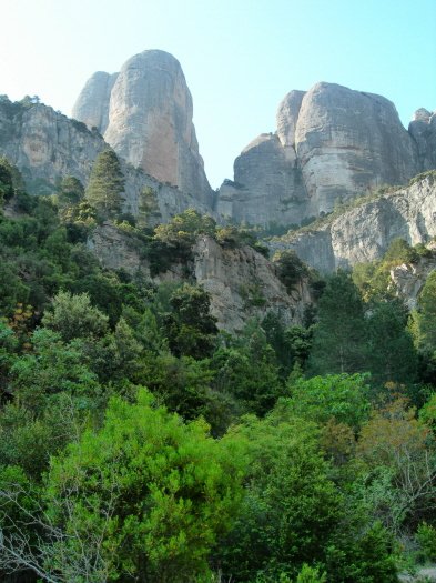 Sota les Roques de Benet