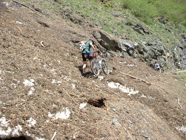 ens trobem un allau que travessa la pista