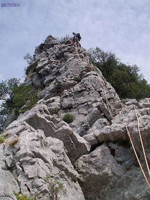 En su salsa... :-)))))))