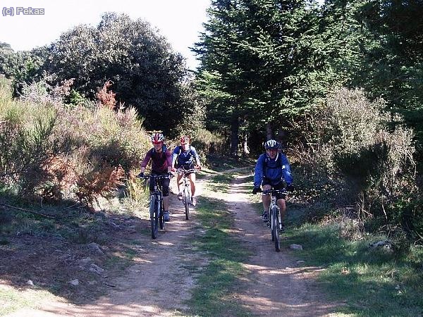 Al día siguiente... ruta betetera de 60 kms... Montseny -Guilleries...Montseny.