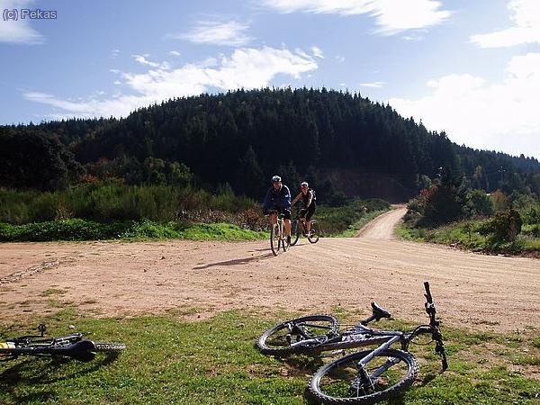 Un día perfecto para montar en btt...