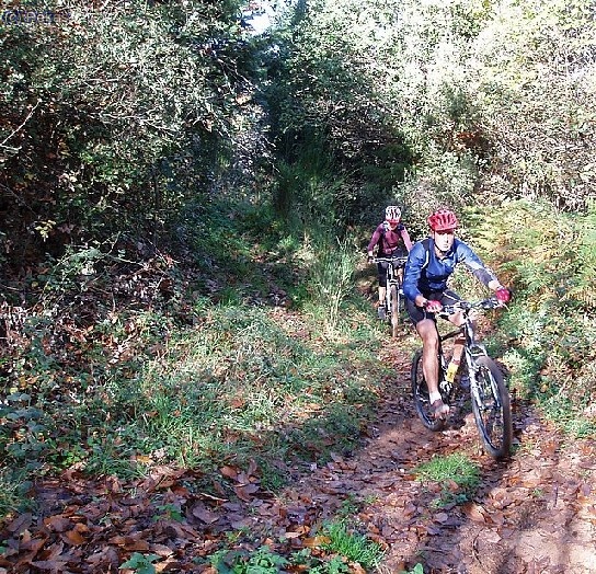 los caminos estaban en su punto...