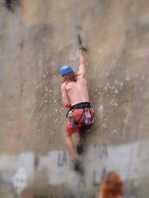 Quintin y el Draytulin....