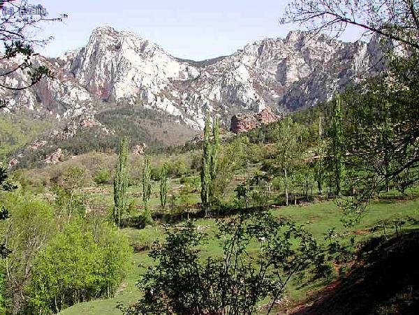 El Bergad&agrave;
