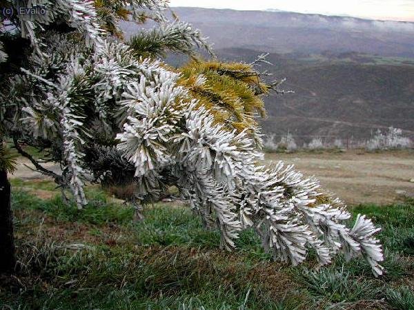 Serra de Pin&oacute;s