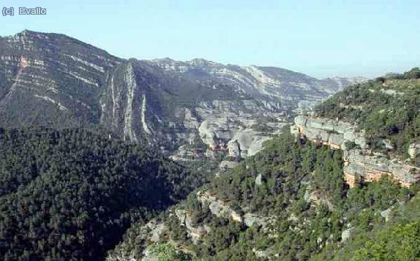 el Montsant desde la serra la Llena