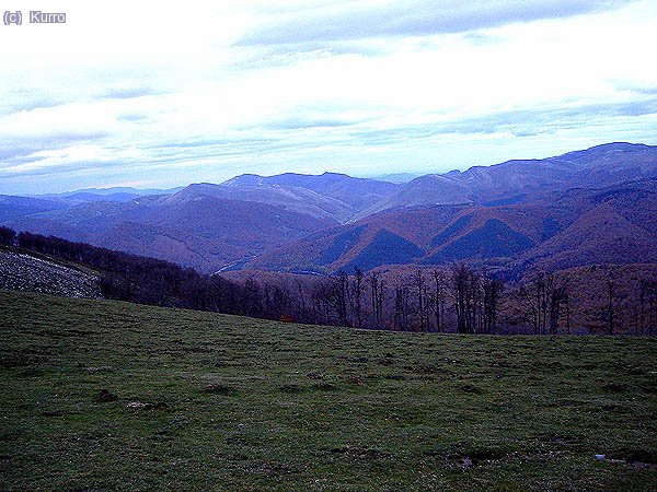 
El bosque de Irati, ya en la puesta de sol, desde una de las lomas superiores de la Sierra de Abodi