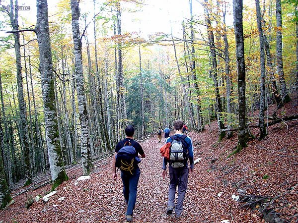 Iniciando el paseo circular por Irati