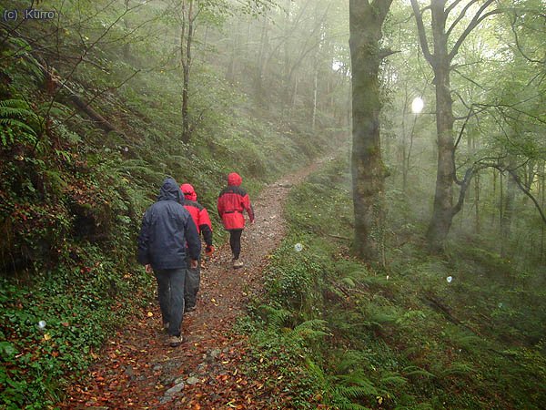 Remojado camino hacia la pasarela de Holtzarte
