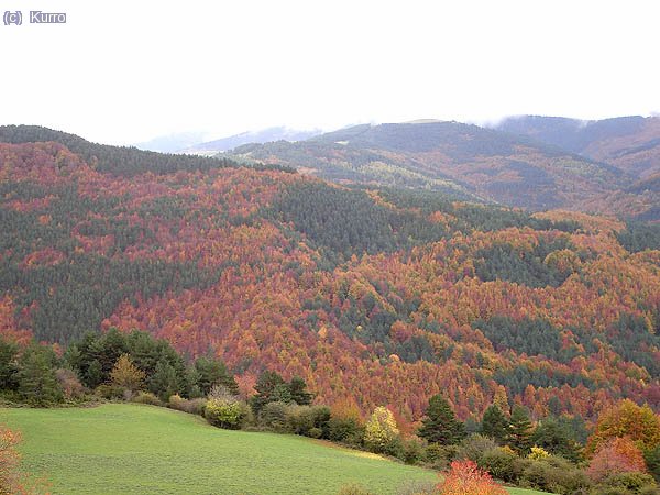 Collage de colores desde la carretera del puerto de Larrau, en las faldas del Orhi
