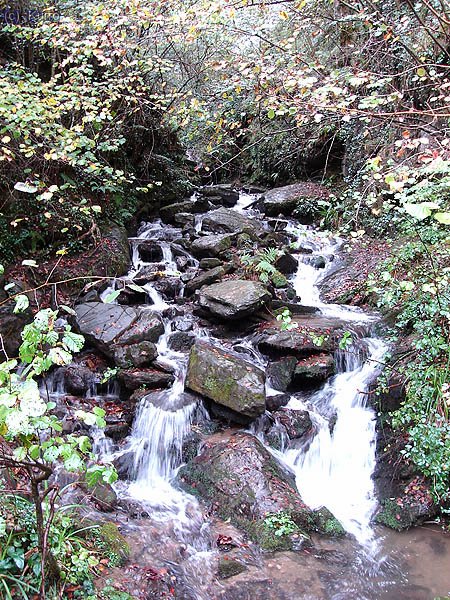 Un saltito de agua en el camino hacia Holtzarte