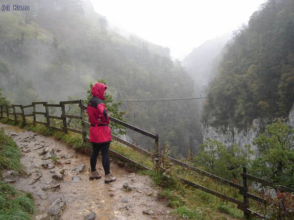 
En primer plano Fern, al fondo la pasarela de Holtzarte 
