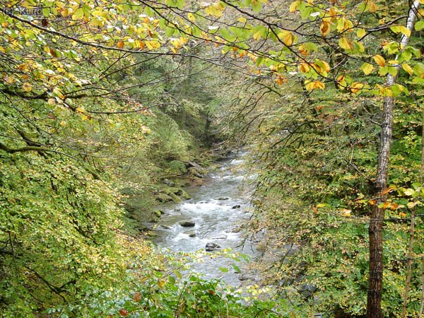 En el camino de Holtzarte