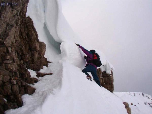Duque disfruta la fruta