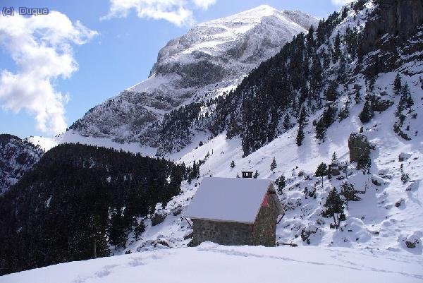 Rollo postal........y tal