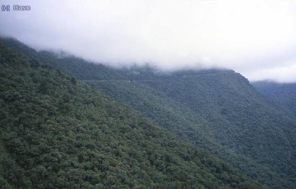 Aqu&iacute; se ve el "tajo" de la carretera entre el denso bosque
