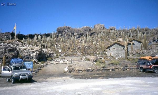 Vista general de la isla Incahuasi o Pescado