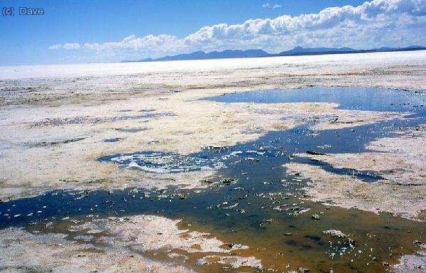 Ojos del Salar
