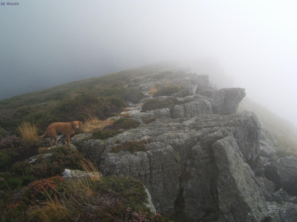Casi en la cima.