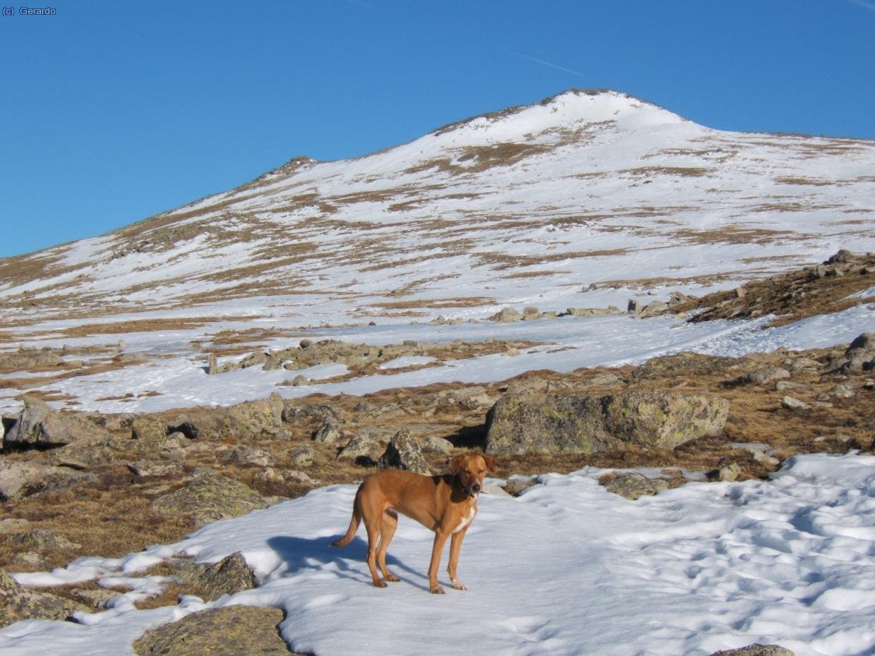 Altiplano cimero.