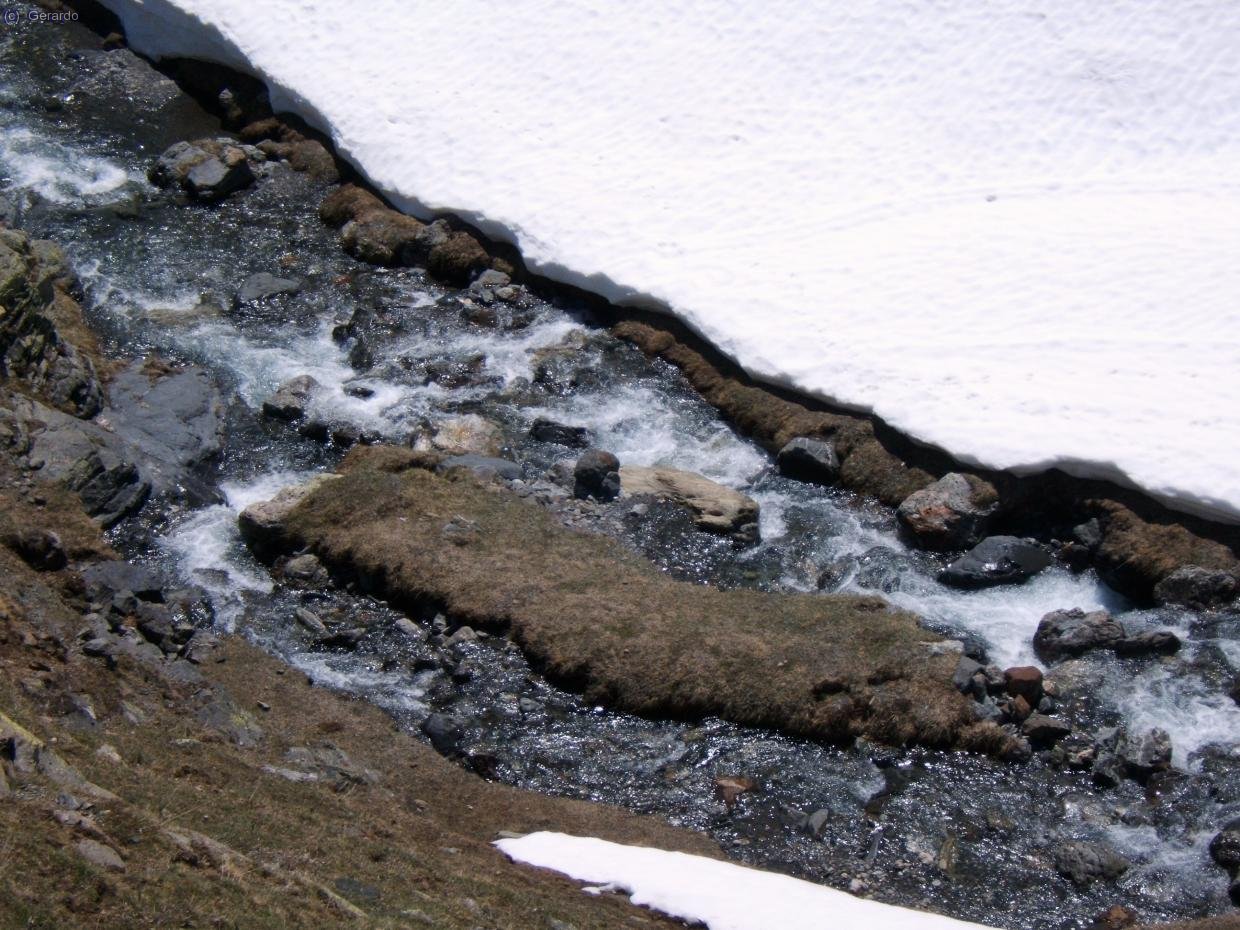 Esto es primavera en estado puro: pasto, agua y nieve.