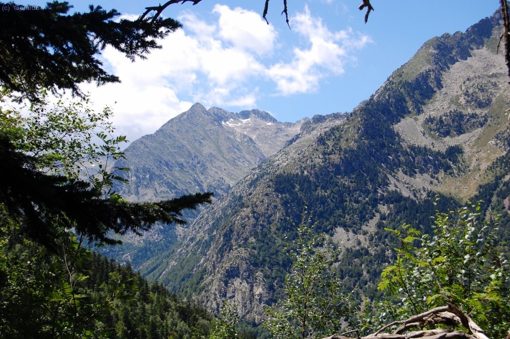 El Pirineo estival...