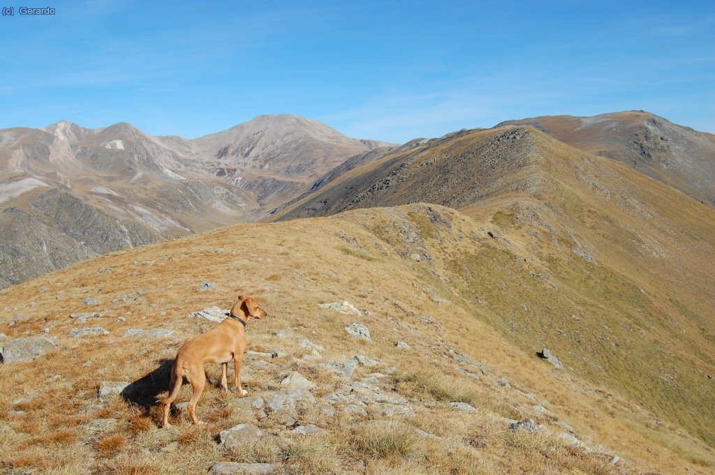 Comencem la cadena de 2,5 km entre el Fontlletera i el Pastuira.