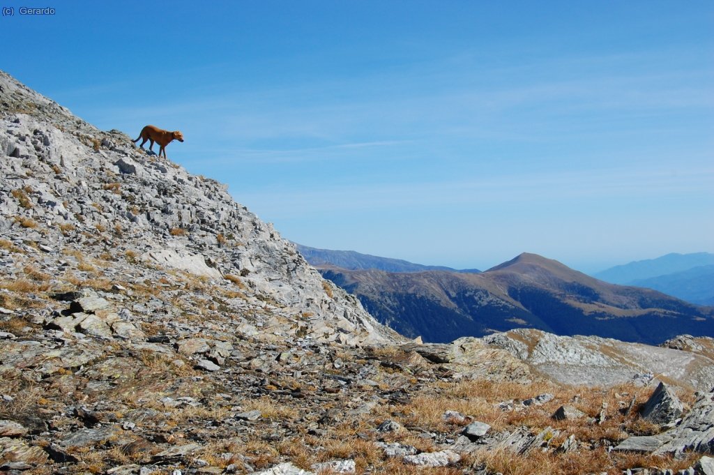 Prop del cim del Pastuira, amb el Costabona al fons.