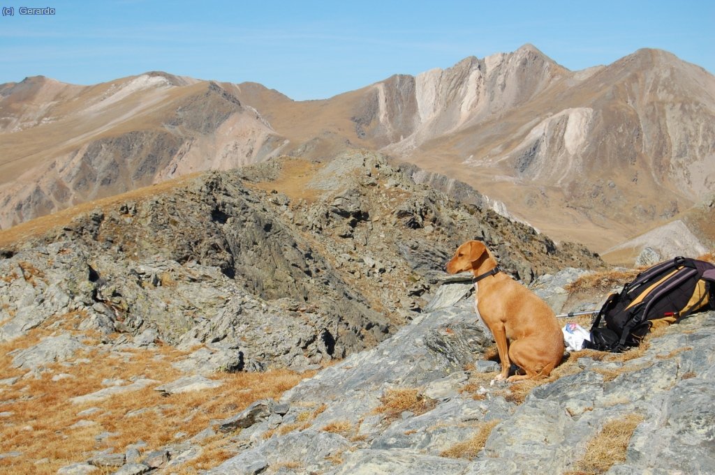 Relax en un mat&iacute; no gair&eacute; fred, suposo que per la quasi total abs&egrave;ncia de vent.