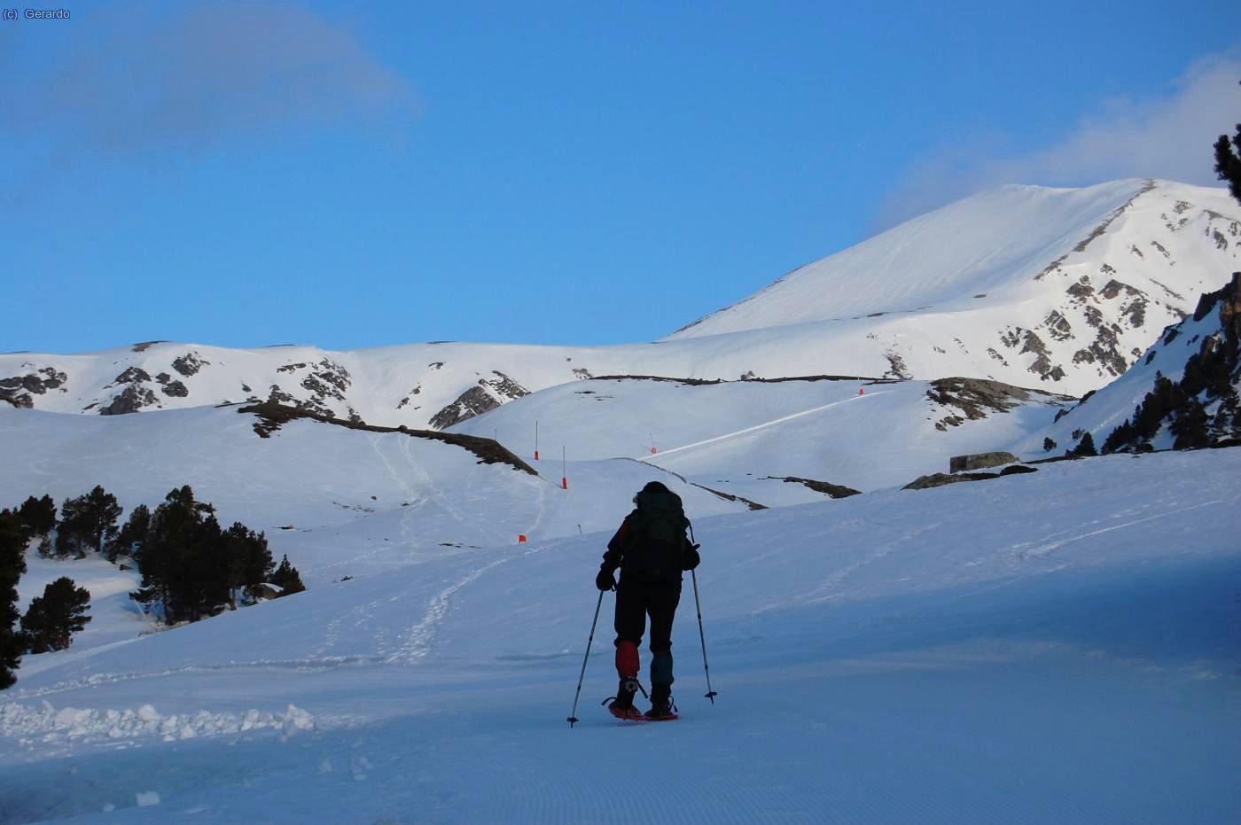 Arrancant des del refu.