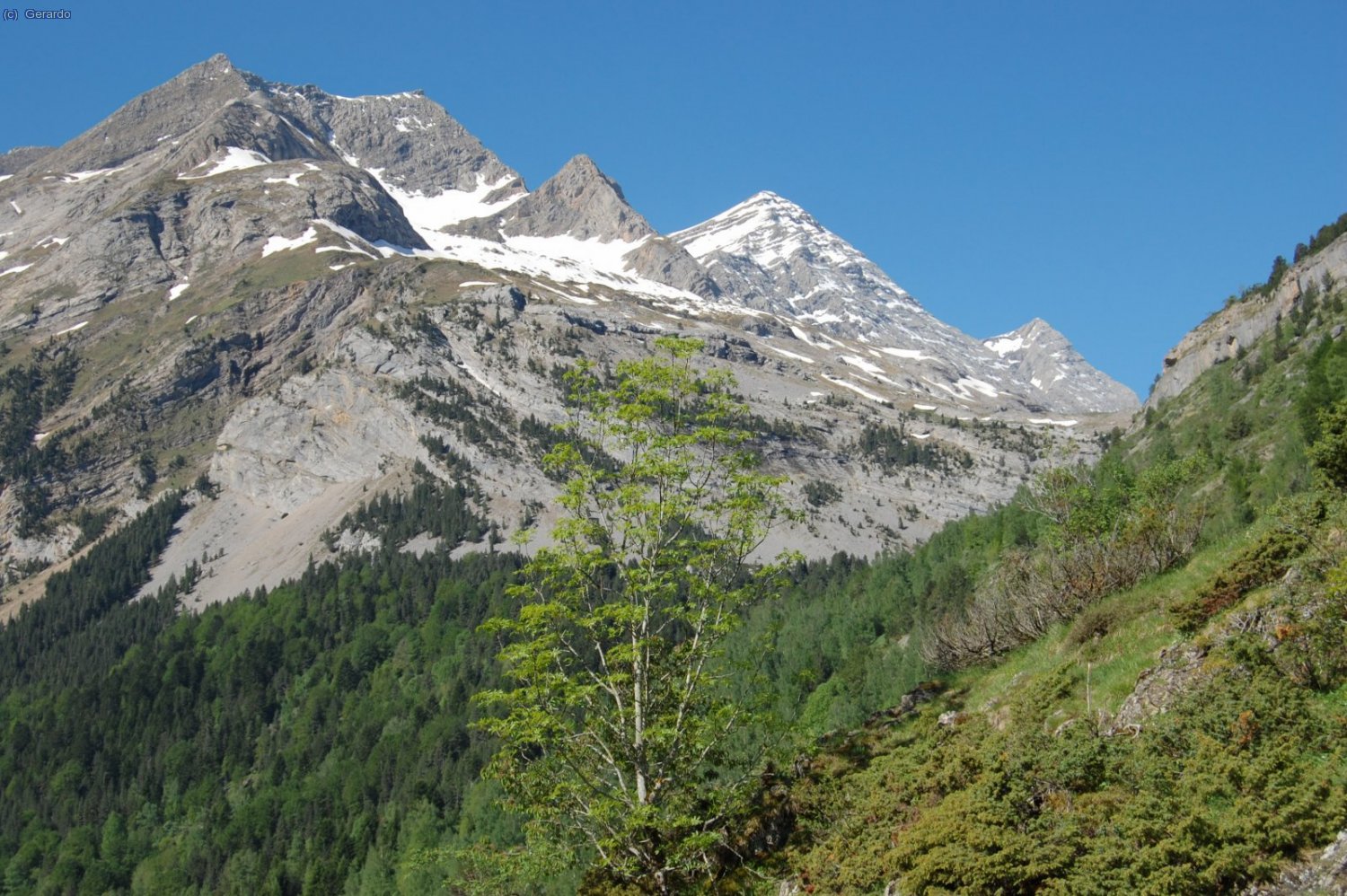 A la derecha, Tall&oacute;n y Gabietos.