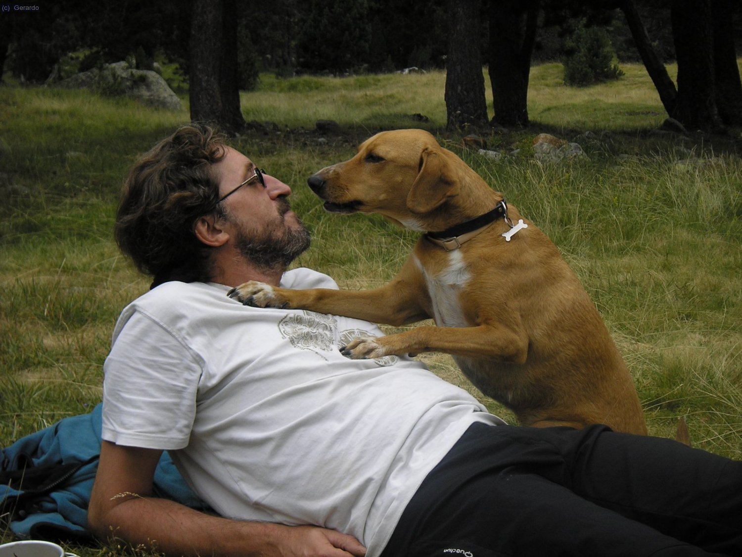 Per sort, la Mel mai oblida al seu principal estimat.